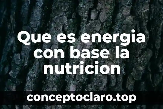 Que es tipos de investigacion cuantitativa 8 Que es energia con base la nutricion