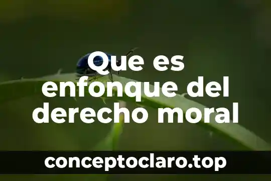 Que es enfonque del derecho moral
