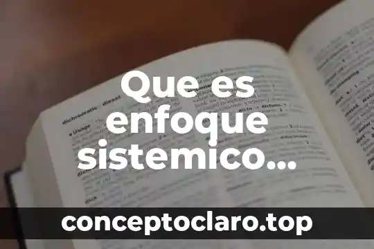 Que es enfoque sistemico definicion