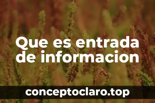 Qué es animación de entrada y salida 5 Que es entrada de informacion