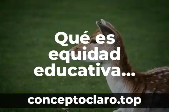 Qué es equidad educativa según filósofos