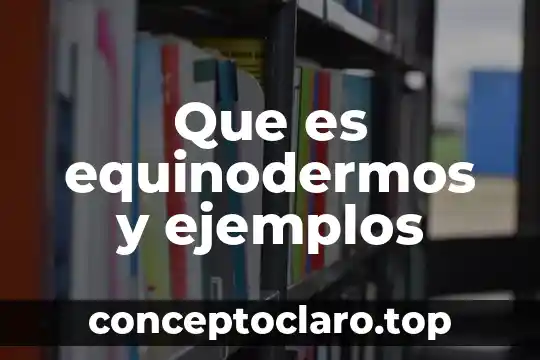 Que es equinodermos y ejemplos