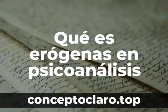 Qué es erógenas en psicoanálisis