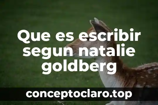 Que es escribir variantes de aspectos de un mismo cuento 4 Que es escribir segun natalie goldberg