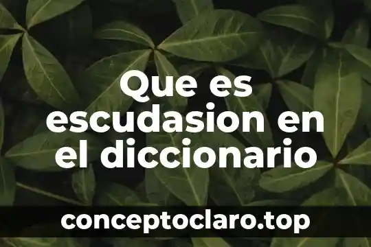 Que es escudasion en el diccionario