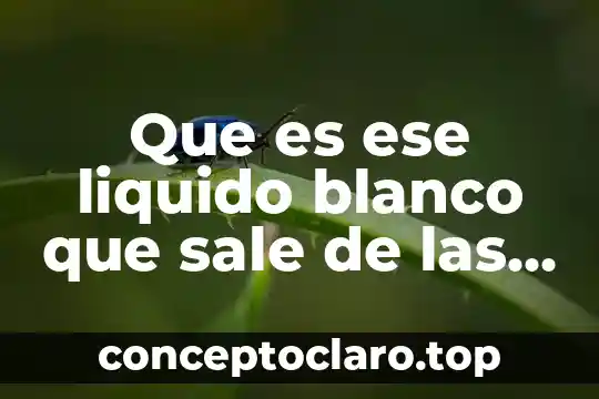 Cuando la prueba de embarazo sale lineas distintas que es 6 Que es ese liquido blanco que sale de las mujeres