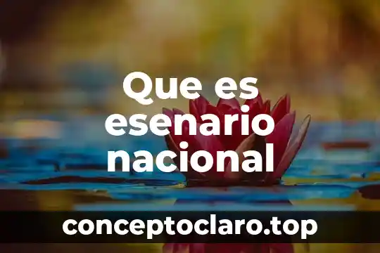 Que es internacional y nacional 5 Que es esenario nacional