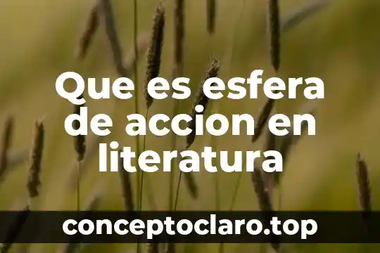 Que es esfera de accion en literatura