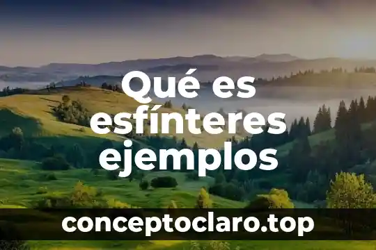Qué es esfínteres ejemplos