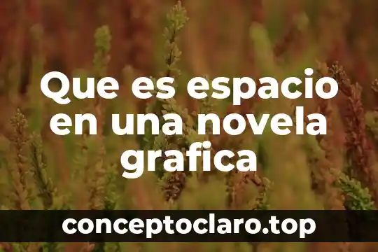 Que es el bledo espacio de telma 3 Que es espacio en una novela grafica