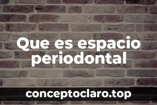 Que es el bledo espacio de telma 4 Que es espacio periodontal