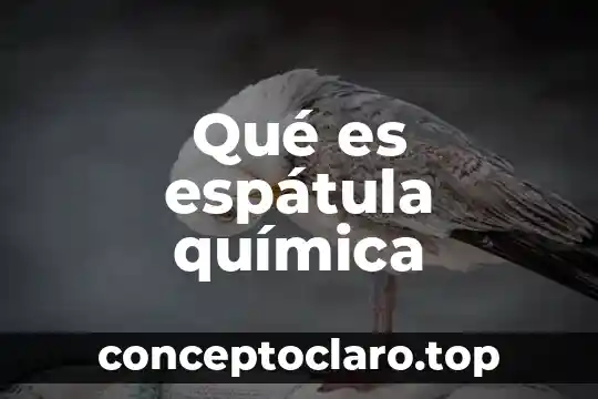 Que es una reaccion quimica y sus tipos de reacciones 5 Qué es espátula química