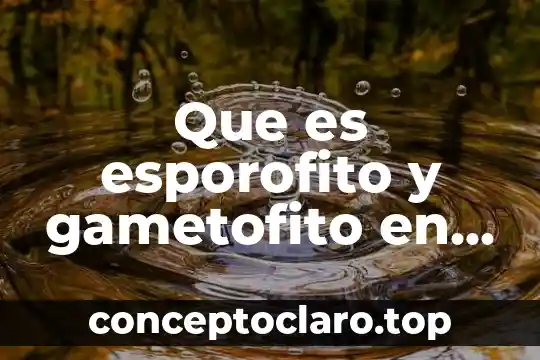 Que es la planta liberiana 4 Que es esporofito y gametofito en planta