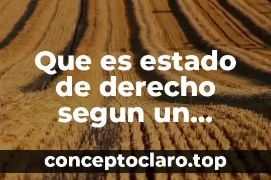 Que es estado de derecho segun un politico