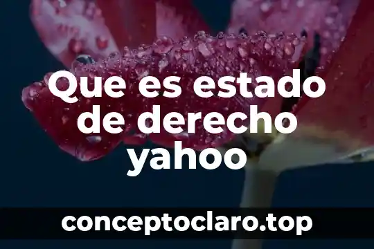 Que es estado de derecho yahoo