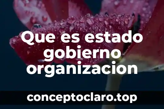 Que es presupuesto en materia de gobierno 7 Que es estado gobierno organizacion