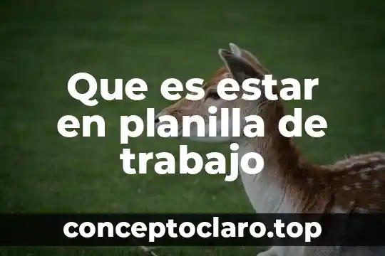 Que es estar en planilla de trabajo