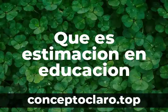 Que es estimacion en educacion
