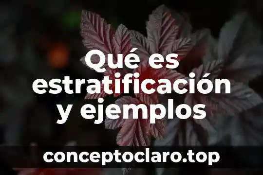 Que es la connotación con ejemplos 7 Qué es estratificación y ejemplos
