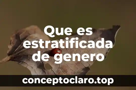 Que es ser constructiva 4 Que es estratificada de genero