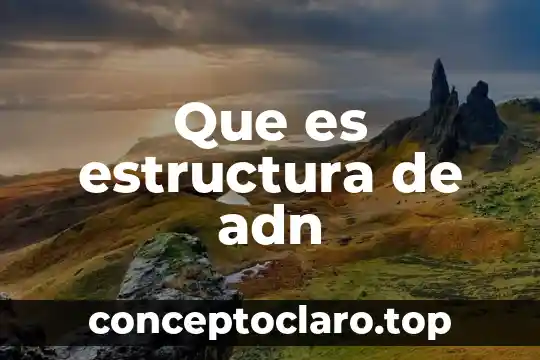 Que es una estructura panaloide 8 Que es estructura de adn