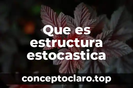 Que es la forma o estructura del pensamiento 6 Que es estructura estocastica