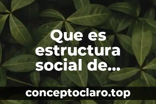 Que es induccion social 5 Que es estructura social de oasisamerica