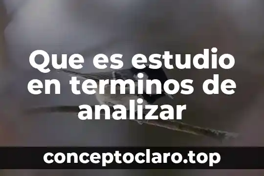 Que es estudio en terminos de analizar