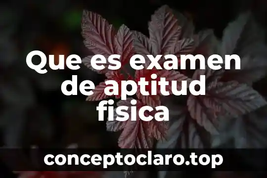 Que es exprecion en educacion fisica 4 Que es examen de aptitud fisica