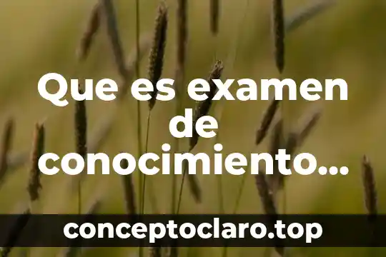 Que es el civismo en areas verdes 5 Que es examen de conocimiento por areas
