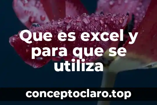 Que es excel y para que se utiliza