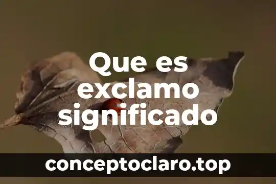 Kimberly que es el significado 6 Que es exclamo significado