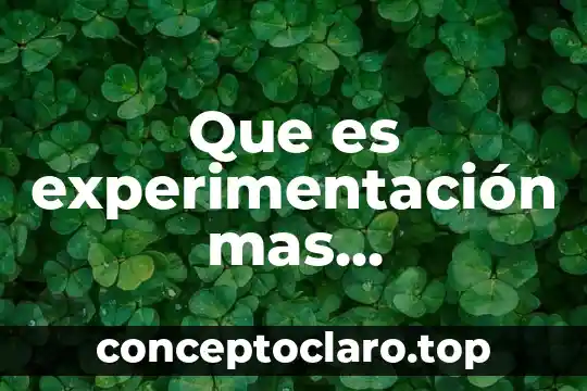 Que es mas importante el significado o el significante 3 Que es experimentación mas importantes