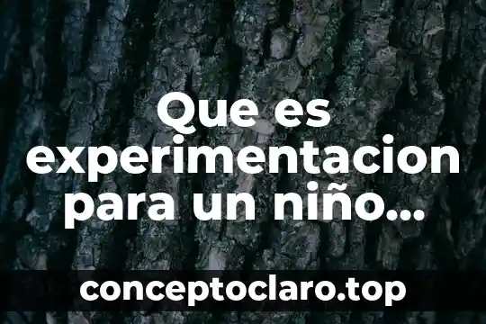 Que es el pep 2011 programa de educacion preescolar 8 Que es experimentacion para un niño de preescolar