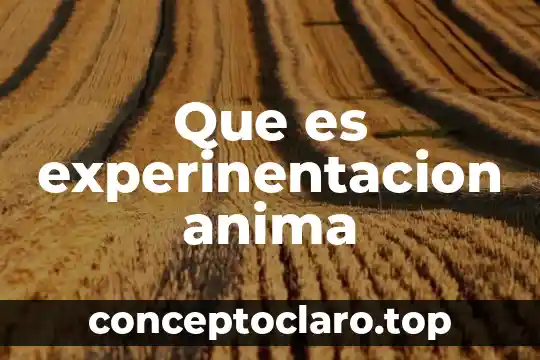 Vasco que es 8 Que es experinentacion anima
