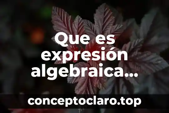 Que es expresión algebraica ejemplos