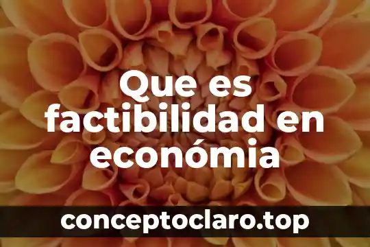 Qué es un estudio de factibilidad y prefactibilidad 7 Que es factibilidad en económia