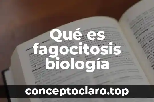 Qué es fagocitosis biología