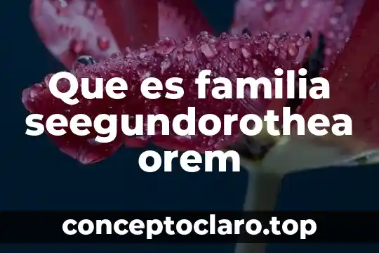 Que es familia seegundorothea orem