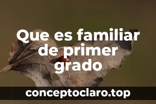 Que es una reliquia familiar 6 Que es familiar de primer grado