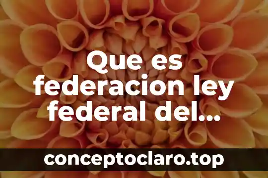 Registro Federal de Contribuyentes que es IJ 5 Que es federacion ley federal del trabajo