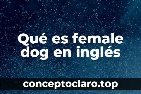 Qué es el participio pasado en inglés 4 Qué es female dog en inglés