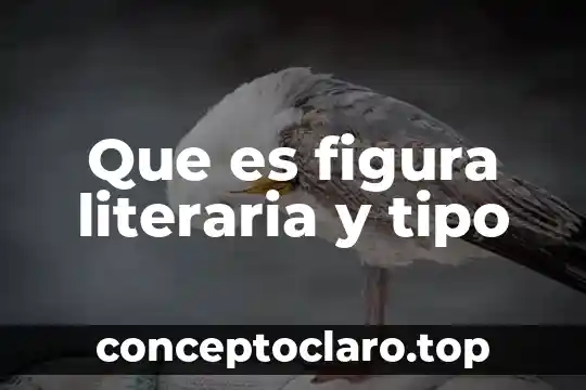 Qué es el área de una figura regular 6 Que es figura literaria y tipo
