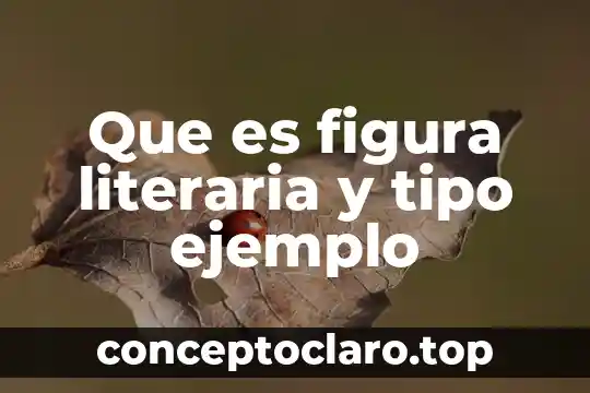 Qué es ciencia literaria 5 Que es figura literaria y tipo ejemplo