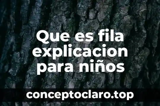 Que es fila explicacion para niños