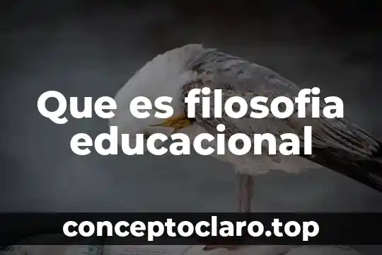 Qué es religioso en filosofía 8 Que es filosofia educacional