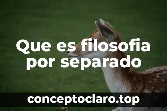 Que es la filosofia en la vida 7 Que es filosofia por separado