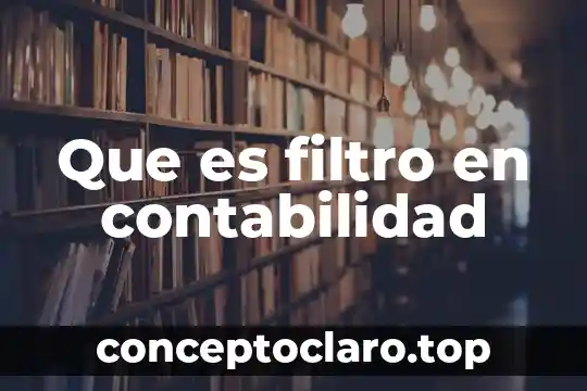 Que es filtro en contabilidad