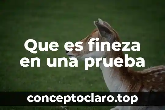 Que es fineza en una prueba