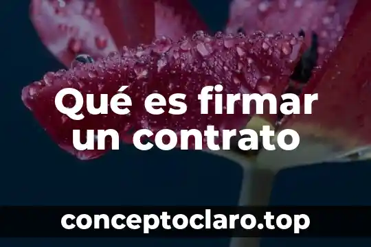 Que es el contrato de asociacion civil clasificacion caracteristicas elementos 7 Qué es firmar un contrato